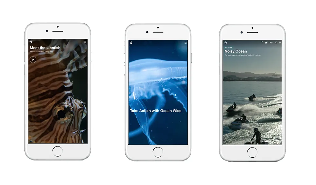 Ocean Wise · Ocean.org project visual